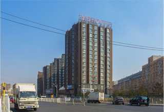 徐州桦木木板批发